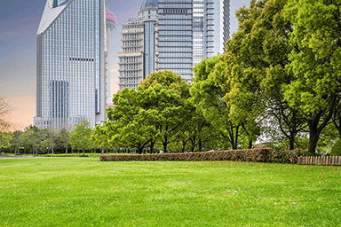 NJDEP Helps the Garden State Remain the Garden State
